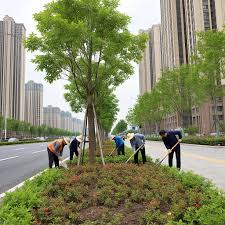 2026美加墨世界杯官网 市委党校节点绿化工程