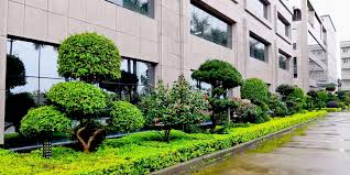 世界杯官网 成都政绿化招标公告查询